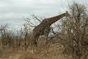 166