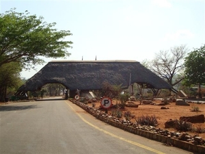 396 goodbye Kruger park