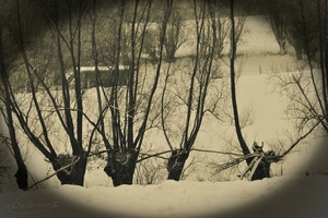 vanop de berg in de Brouwierstraat