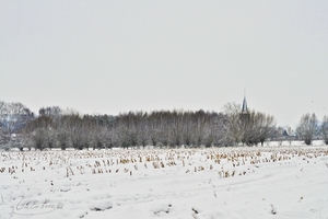 zicht van bij ons thuis