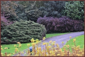 abdij park