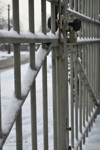 winter 2010/2011