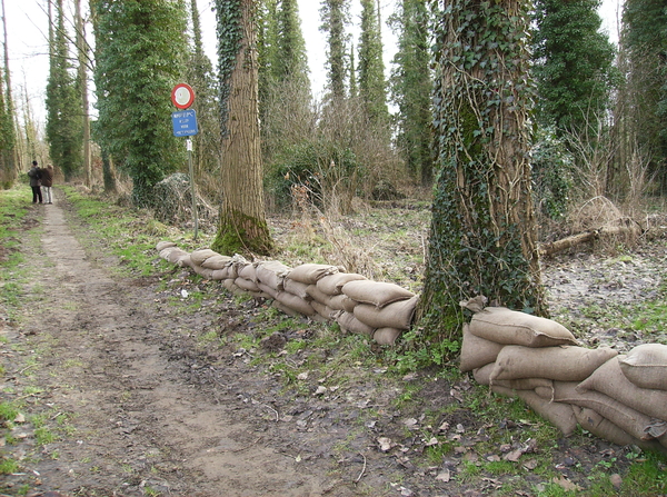 beerlegem januari 2011 008