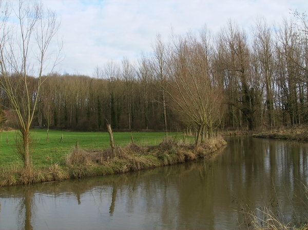 beerlegem januari 2011 009