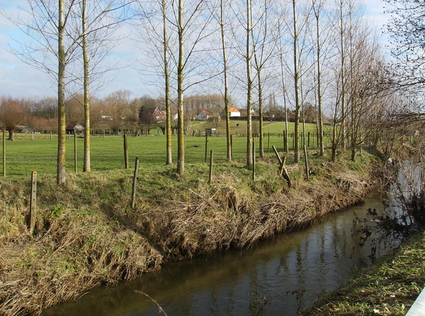 beerlegem januari 2011 010
