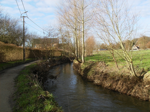 beerlegem januari 2011 011