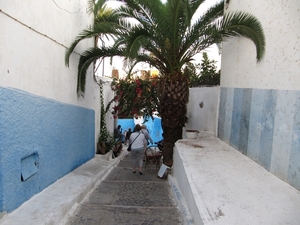 IMG_0244