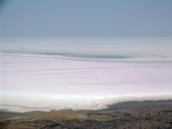 DE ZOUTWOESTIJN - GROTE RANN