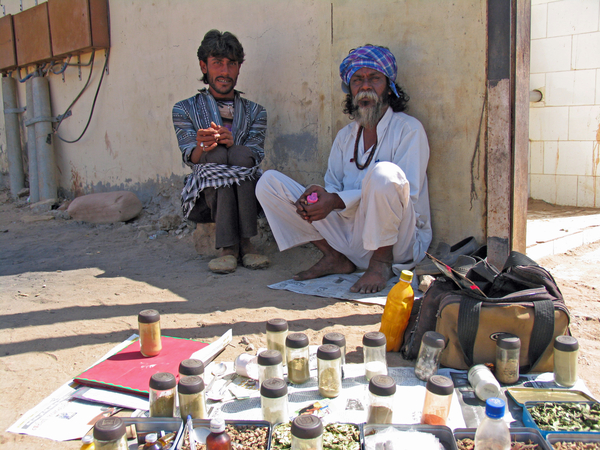 MEDICIJNEN VERKOPER - KUTCH