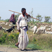 RABARI MAN - NOMADEN - KUTCH