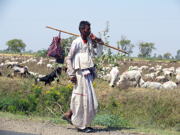 RABARI MAN - NOMADEN - KUTCH