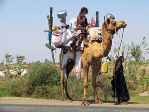 DE HELE HUISRAAD MOET MEE - KUTCH