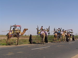 RABARI NOMADEN - KUTCH