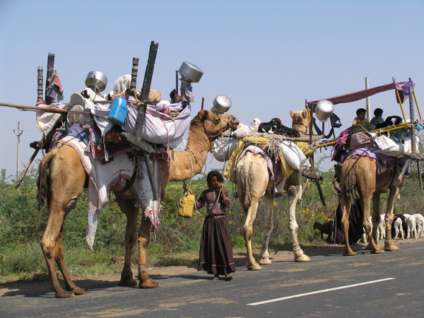 RABARI NOMADEN - KUTCH