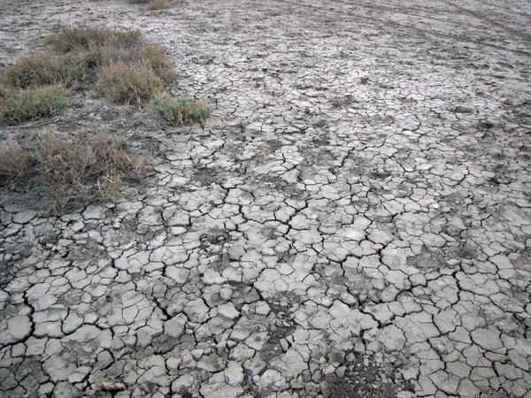 UITGEDROOGDE BODEM VAN DE KLEINE RANN - KUTCH