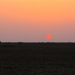 ONDERGAANDE ZON OVER DE KLEINE RANN - KUTCH