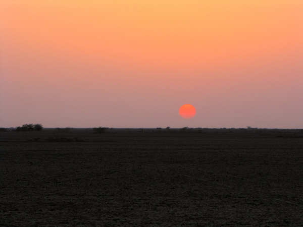 ONDERGAANDE ZON OVER DE KLEINE RANN - KUTCH