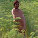 GUJARAT 2003