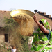 GUJARAT 2012