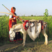 GUJARAT 2173