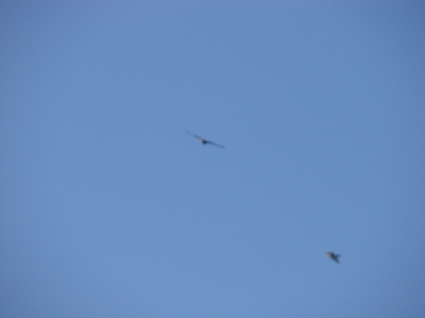 2010-09-27 Verkenning Oberhenneborn 060