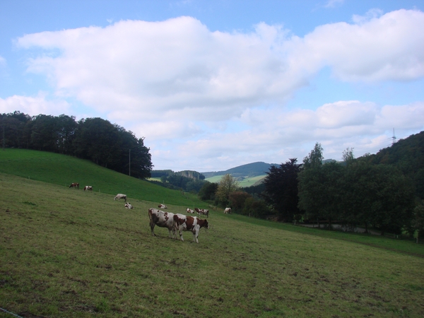 2010-09-27 Verkenning Oberhenneborn 084