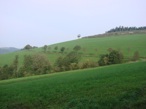 2010-09-27 Verkenning Oberhenneborn 102