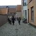 HD Gent(Cova).20110118 053 (Small)