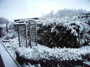winter 2010