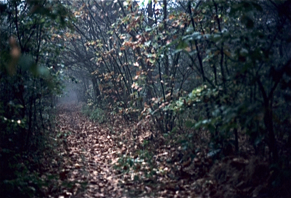 Herfst