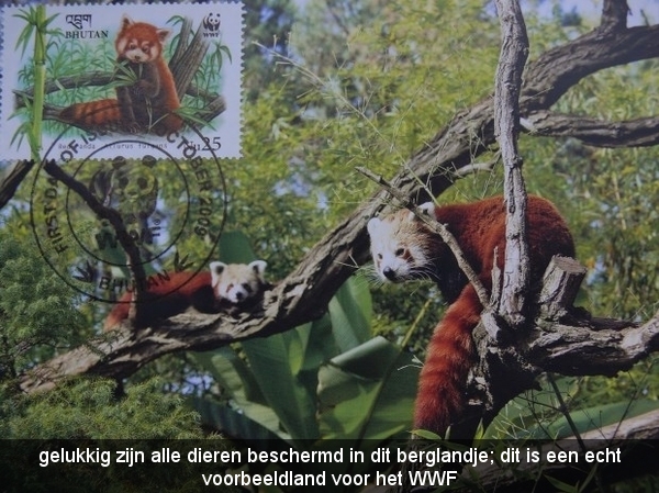 rode panda;WWF;Bescherming