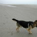 depanne3