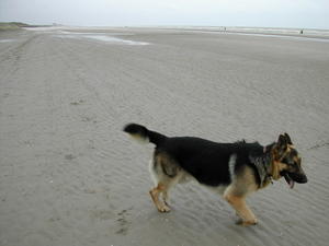depanne3