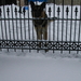 zohra inrit sneeuw 5 03