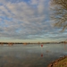 20110116_37