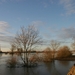 20110116_73