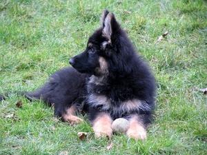 jethro-18-12-2007