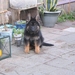 jethro-22-12-2007