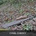 m__DSC0029