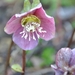 042