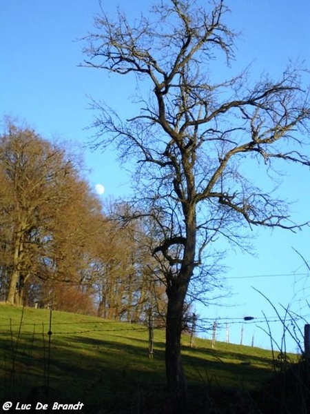 Thynes marche Adeps wandeling Ardennen