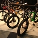 Veloflolies 113