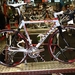 Veloflolies 124