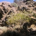 Richtikloof