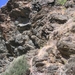 Richtikloof