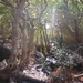 Richtikloof
