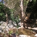 Richtikloof