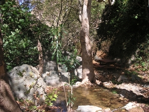 Richtikloof