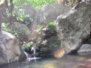 Richtikloof