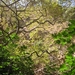 Richtikloof